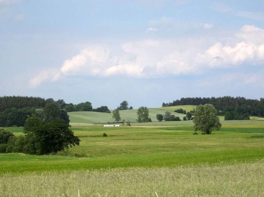 Pojezierze Krajeńskie, pofałdowany krajobraz młodoglacjalny okolic Więcborka