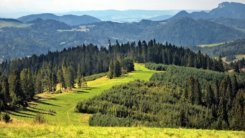 Przełom Dunajca