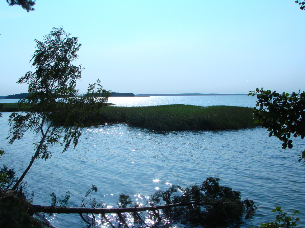 Śniadrwy