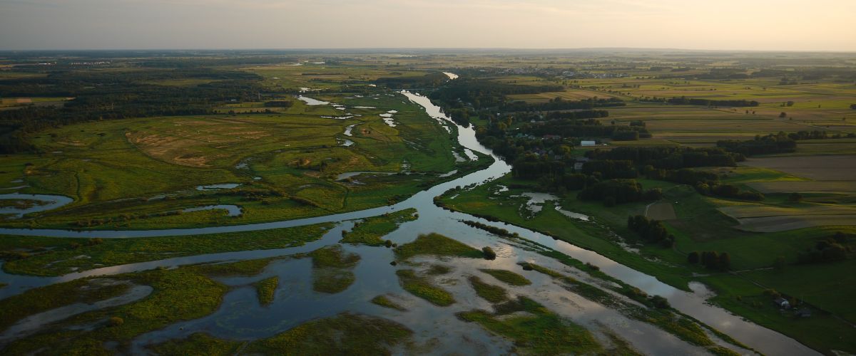 Niziny Śrokowopolskie