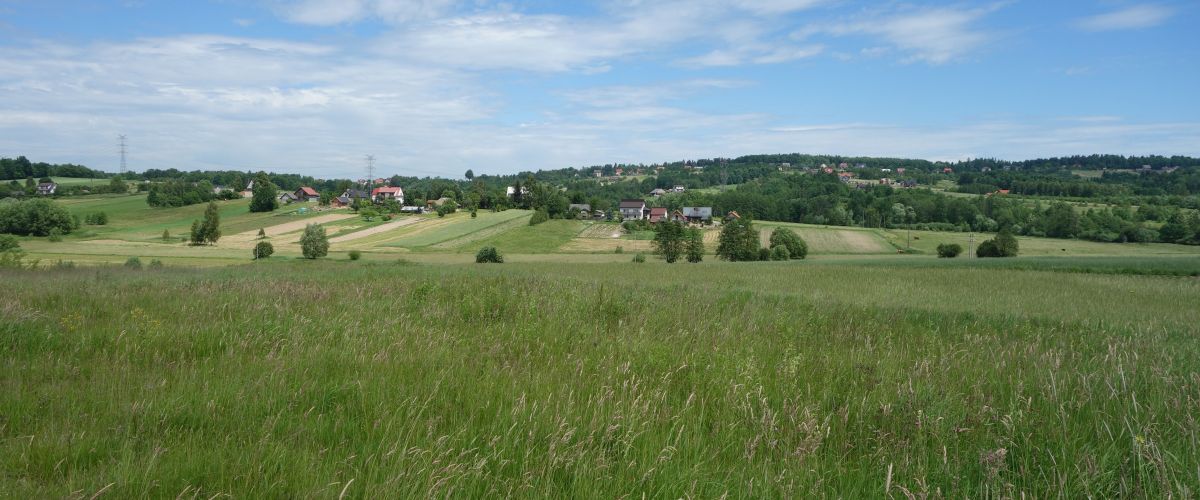 Krajobraz Pobrzeża