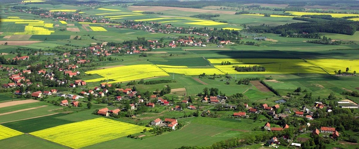 Krajobraz rolniczy nizin