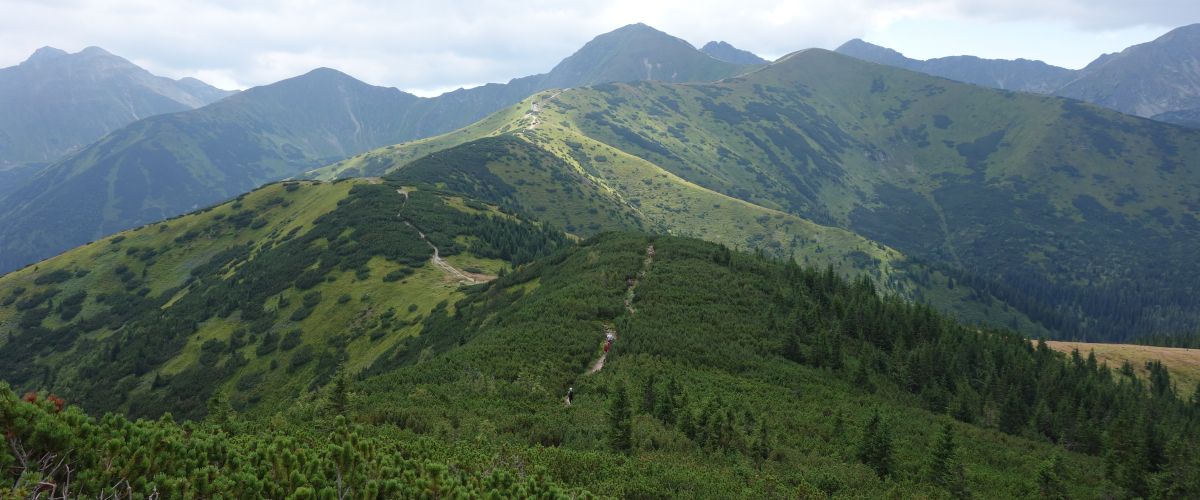 Tatry - widok z Grzesia