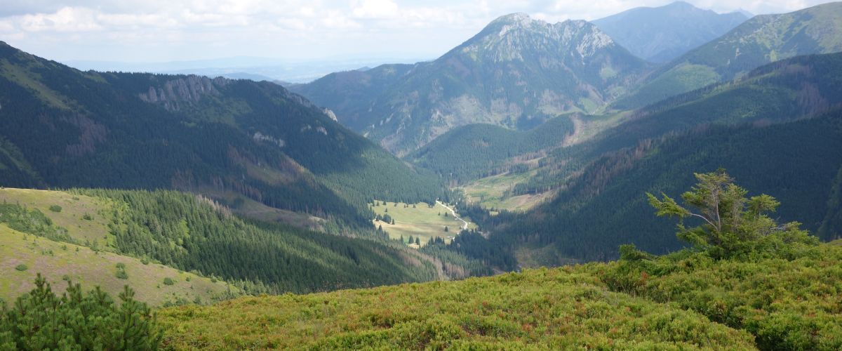 Tatry